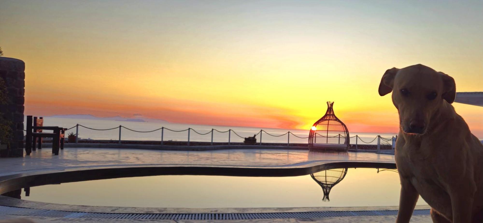 Thea Luxury Resort Fira  Zewnętrze zdjęcie